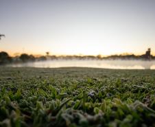 Recorde de frio: 18 cidades do Paraná registram a temperatura mais baixa do ano