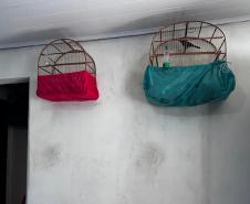IAT apreende sete pássaros mantidos em cativeiro irregular em Curitiba