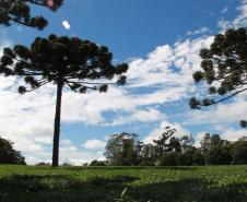 Paraná é o Estado mais sustentável do Brasil, aponta Ranking de Competitividade.