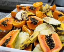 Parceria entre IAT e Ceasa-PR encaminha cerca de 29 toneladas de frutas, verduras e legumes para o Criadouro Onça Pintada, em Campina Grande do Sul