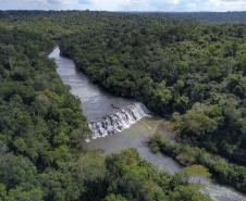 Paraná é o Estado mais sustentável do Brasil, aponta Ranking de Competitividade