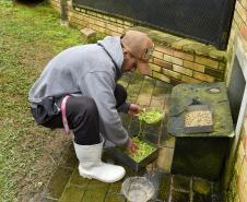 Parceria entre IAT e Ceasa-PR encaminha cerca de 29 toneladas de frutas, verduras e legumes para o Criadouro Onça Pintada, em Campina Grande do Sul