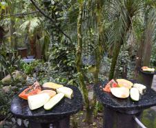 Parceria entre IAT e Ceasa-PR encaminha cerca de 29 toneladas de frutas, verduras e legumes para o Criadouro Onça Pintada, em Campina Grande do Sul