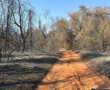 IAT ajuda a combater três novos focos de incêndio florestal no Paraná