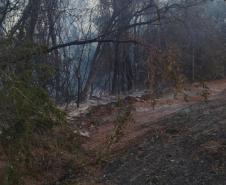 Caminhões-pipa fornecidos pelo Estado ajudam a combater incêndio florestal em Cianorte
