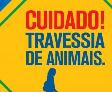 IAT: 66 municípios terão placas educativas de cuidado de pets e animais silvestres