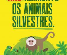 IAT: 66 municípios terão placas educativas de cuidado de pets e animais silvestres