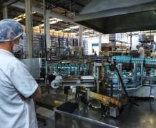 Paraná é o Estado mais sustentável do Brasil, aponta Ranking de Competitividade