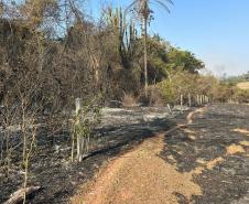 Helicóptero do IAT vai reforçar combate a incêndio florestal em Maria Helena