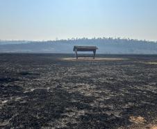 Fogo atingiu uma parte pequena do Parque Estadual de Vila Velha, em Ponta Grossa