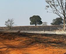 Fogo atingiu uma parte pequena do Parque Estadual de Vila Velha, em Ponta Grossa
