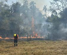 Fogo atingiu uma parte pequena do Parque Estadual de Vila Velha, em Ponta Grossa
