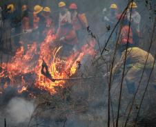 IAT emite alerta para risco elevado de incêndio em Unidades de Conservação