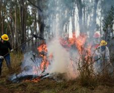 IAT emite alerta para risco elevado de incêndio em Unidades de Conservação