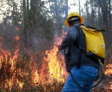 IAT emite alerta para risco elevado de incêndio em Unidades de Conservação