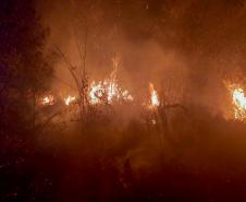 IAT emite alerta para risco elevado de incêndio em Unidades de Conservação