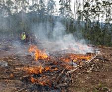 IAT emite alerta para risco elevado de incêndio em Unidades de Conservação