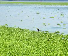 Paraná é o Estado mais sustentável do Brasil, aponta Ranking de Competitividade.