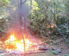Instituto Água e Terra (IAT) e Batalhão de Polícia Ambiental - Força Verde desmobilizaram um acampamento de caçadores que funcionava dentro do Parque Estadual Pico do Marumbi.