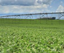 Paraná é o Estado mais sustentável do Brasil, aponta Ranking de Competitividade