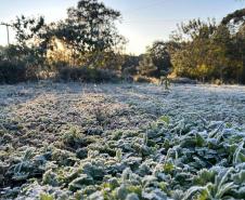 15 cidades com temperatura abaixo de zero e -5,3°C: 13 de agosto foi o dia mais frio do ano