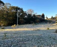 15 cidades com temperatura abaixo de zero e -5,3°C: 13 de agosto foi o dia mais frio do ano