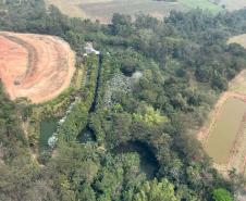 IAT cria metodologia para reestabelecer fauna em área incendiada mês passado 