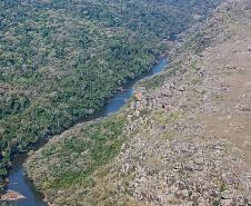 Com apoio de voluntários e helicóptero, IAT retira 58 hectares de pinus do Guartelá