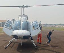 IAT cria metodologia para reestabelecer fauna em área incendiada mês passado 