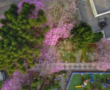 Simepar prevê primavera quente e com chuva abaixo da média histórica no Paraná
