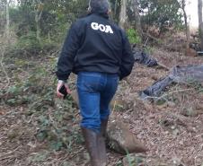 Primeira operação de parcelamento irregular do solo em área rural coordenada pelo IAT terminou com mais de R$ 20 milhões em multas