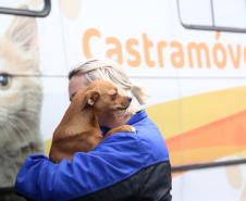 Programa Castrapet Paraná será retomado em novembro com o atendimento de mais de 35 mil animais, entre cães e gatos
