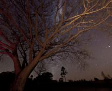 Parque Vila Velha participa de evento internacional da Nasa para observação da Lua