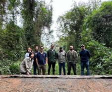 IAT resgata filhote de onça-parda preso em árvore de 20 metros no Oeste do Paraná