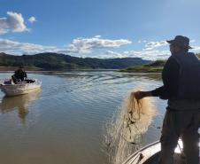 IAT proíbe pesca em quatro Bacias Hidrográficas do Paraná para preservar fauna