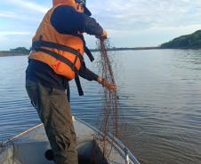 IAT proíbe pesca em quatro Bacias Hidrográficas do Paraná para preservar fauna