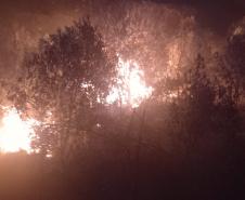 Para prevenir incêndios, Paraná suspende por 90 dias queima controlada no campo