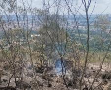 Para prevenir incêndios, Paraná suspende por 90 dias queima controlada no campo