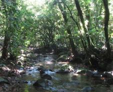Estado repassa R$ 200 milhões em ICMS Ecológico por Biodiversidade aos municípios