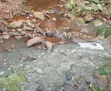 Suinocultor é multado em R$ 100 mil por infração ambiental em córrego de Toledo
