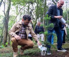 Servidores do escritório regional do IAT de Curitiba durante plantio de mudas no viveiro de São José dos Pinhais