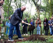 Servidores do escritório regional do IAT de Curitiba durante plantio de mudas no viveiro de São José dos Pinhais