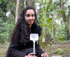Servidores do escritório regional do IAT de Curitiba durante plantio de mudas no viveiro de São José dos Pinhais