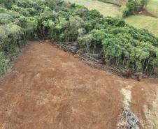 Edição 2024 da Operação Mata Atlântica em Pé identificou 1.433,33 hectares de área ilegalmente desmatada no Paraná