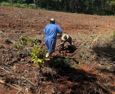Cartilha Outorguinha ensina crianças de 8 a 10 a proteger as águas do Paraná
