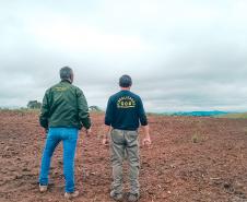 Edição 2024 da Operação Mata Atlântica em Pé identificou 1.433,33 hectares de área ilegalmente desmatada no Paraná
