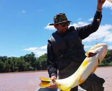 Piracema: proibição de pesca predatória na Bacia do Rio Paraná começa na sexta-feira