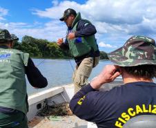 Piracema: proibição de pesca predatória na Bacia do Rio Paraná começa na sexta-feira