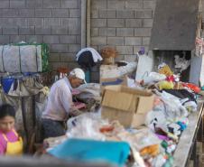 Com foco em cadeias produtivas sustentáveis, Estado cria fórum de economia circular