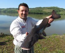 Novo ciclo do projeto Rio Vivo vai soltar 2,6 milhões de peixes nativos nas bacias do Paraná a partir deste mês
